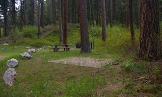 Camping near Sawtooth National Forest Willow Creek Transfer Campground: Dog Creek Campground - Idaho, Atlanta, Idaho