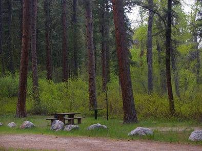 Camper submitted image from Dog Creek Campground - Idaho - 3