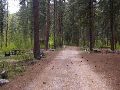 Camper submitted image from Dog Creek Campground - Idaho - 4