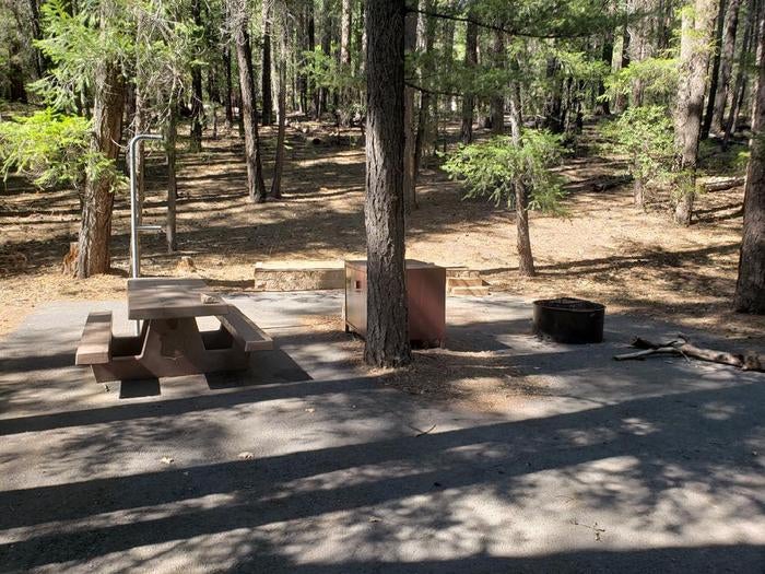 Camper submitted image from Plumas National Forest Hallsted Campground - 2