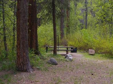 Montana's Dog Creek Campground: Where Wilderness Meets Comfort