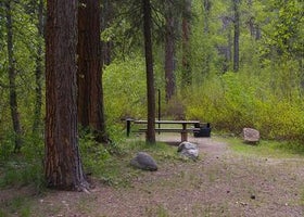 Dog Creek Campground - Idaho