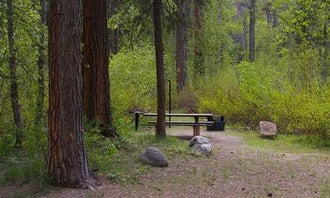 Dog Creek Campground - Idaho