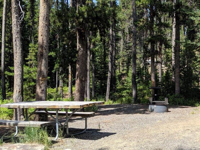 Camper submitted image from Chinook Campground - 1