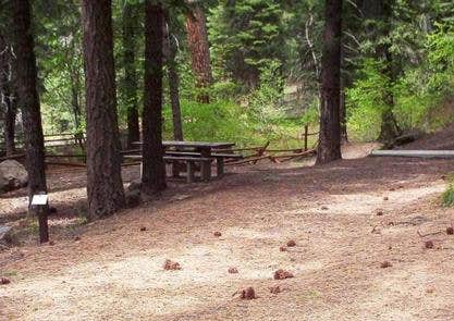 Camper submitted image from Spring Creek Campground - 2