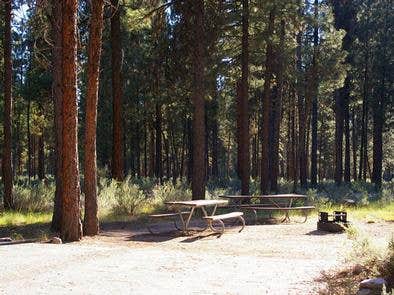 Camper submitted image from Boise National Forest Helende Campground - 2