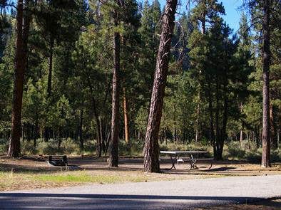 Camper submitted image from Boise National Forest Helende Campground - 1