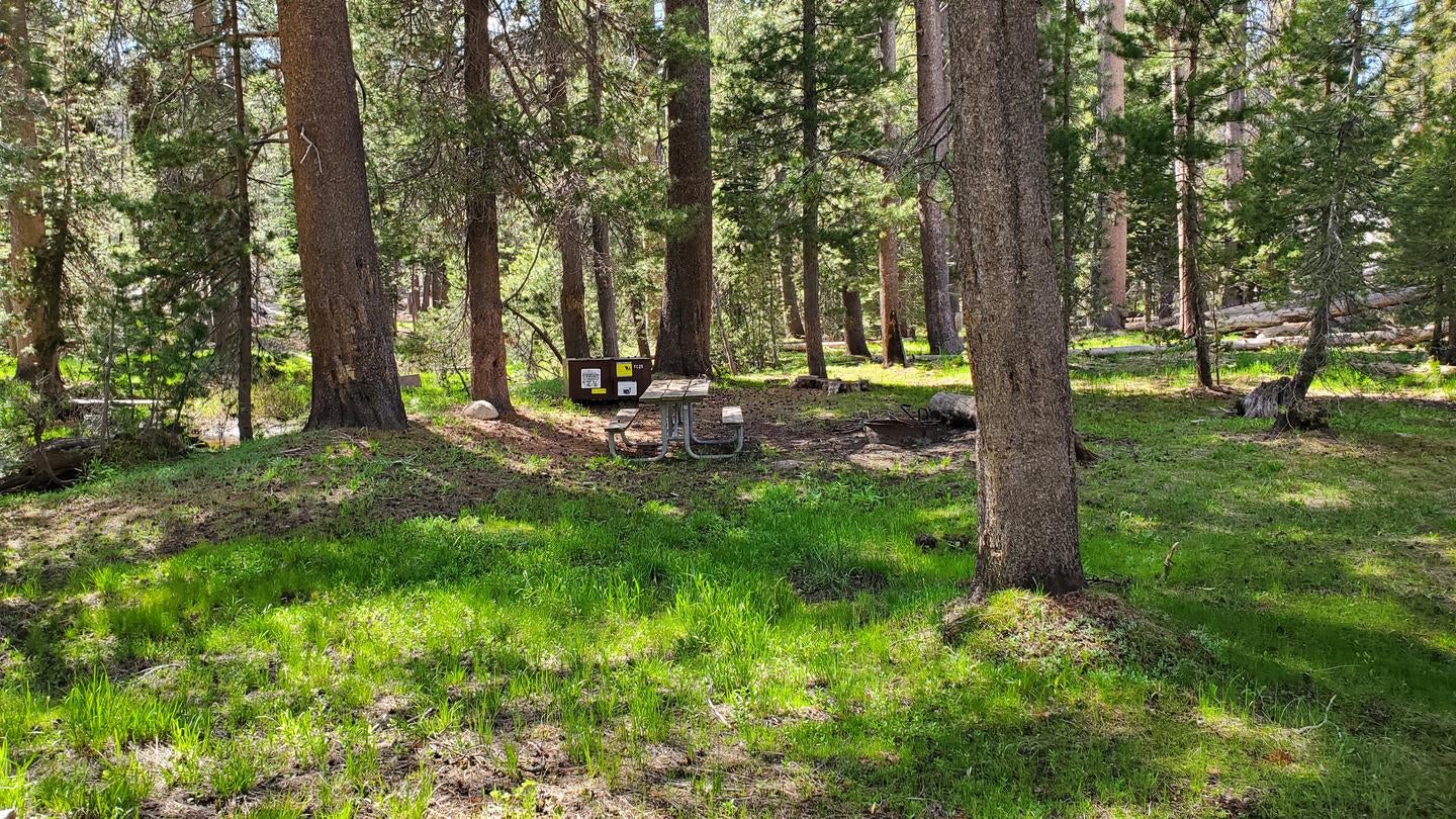 Camper submitted image from Yosemite Creek — Yosemite National Park - 2