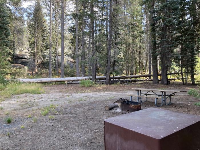 Camper submitted image from Tamarack Flat Campground — Yosemite National Park - 2