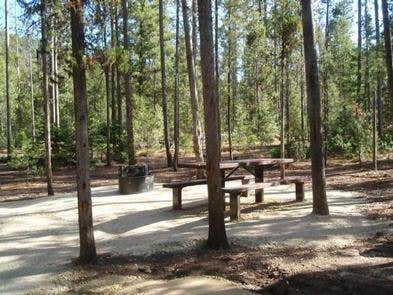 Camper submitted image from Boundary Creek Campground - 1