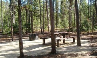 Camping near Velvet Falls Campground: Boundary Creek Campground, Stanley, Idaho