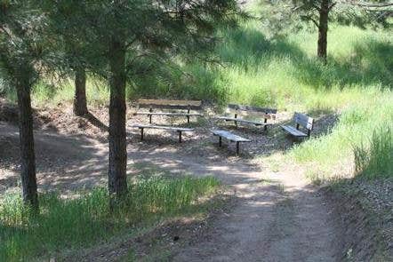 Camper submitted image from Macks Creek Park - 2