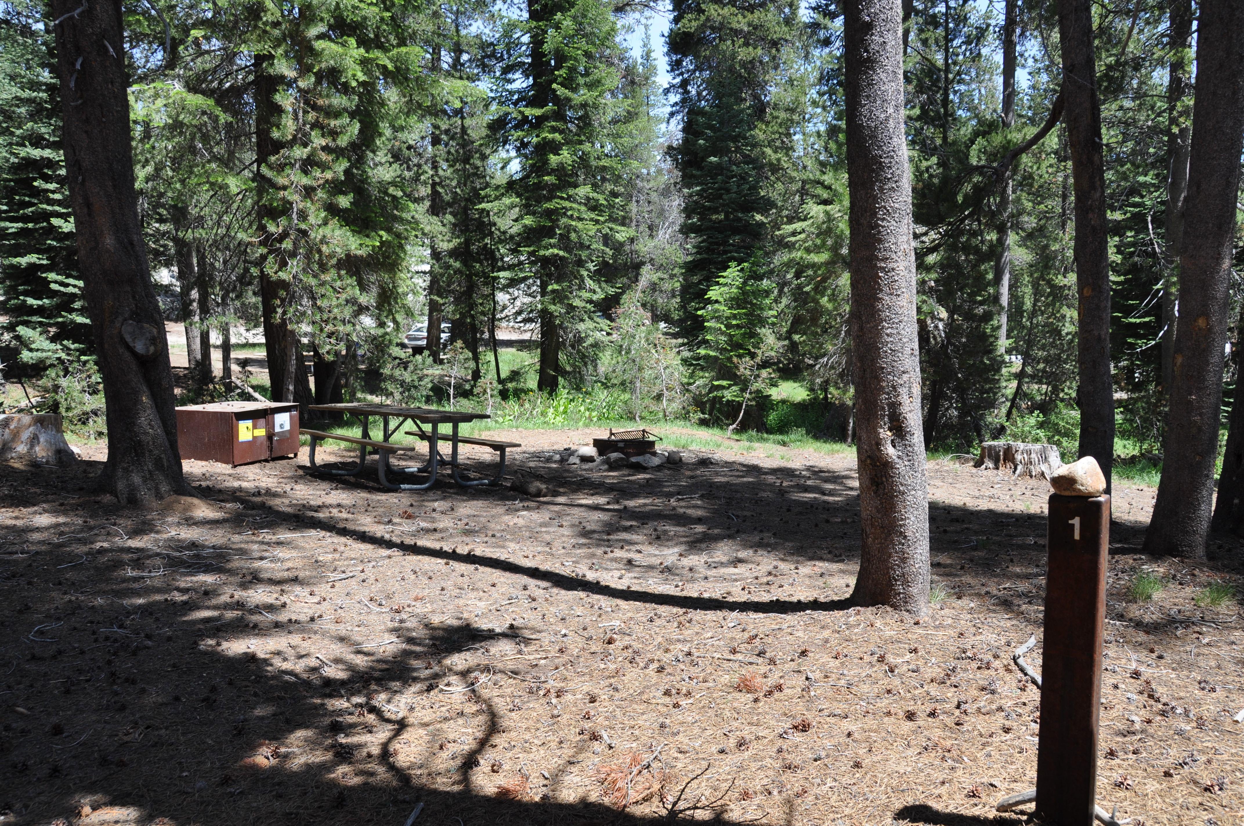 Camper submitted image from Yosemite Creek — Yosemite National Park - 1