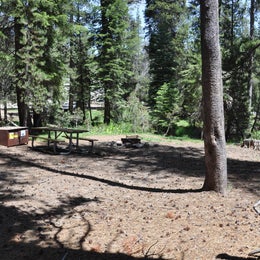 Public Campgrounds: Yosemite Creek — Yosemite National Park