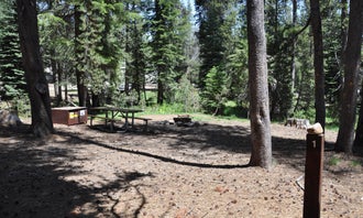 Camping near Upper Pines Campground — Yosemite National Park: Yosemite Creek — Yosemite National Park, Yosemite Valley, California