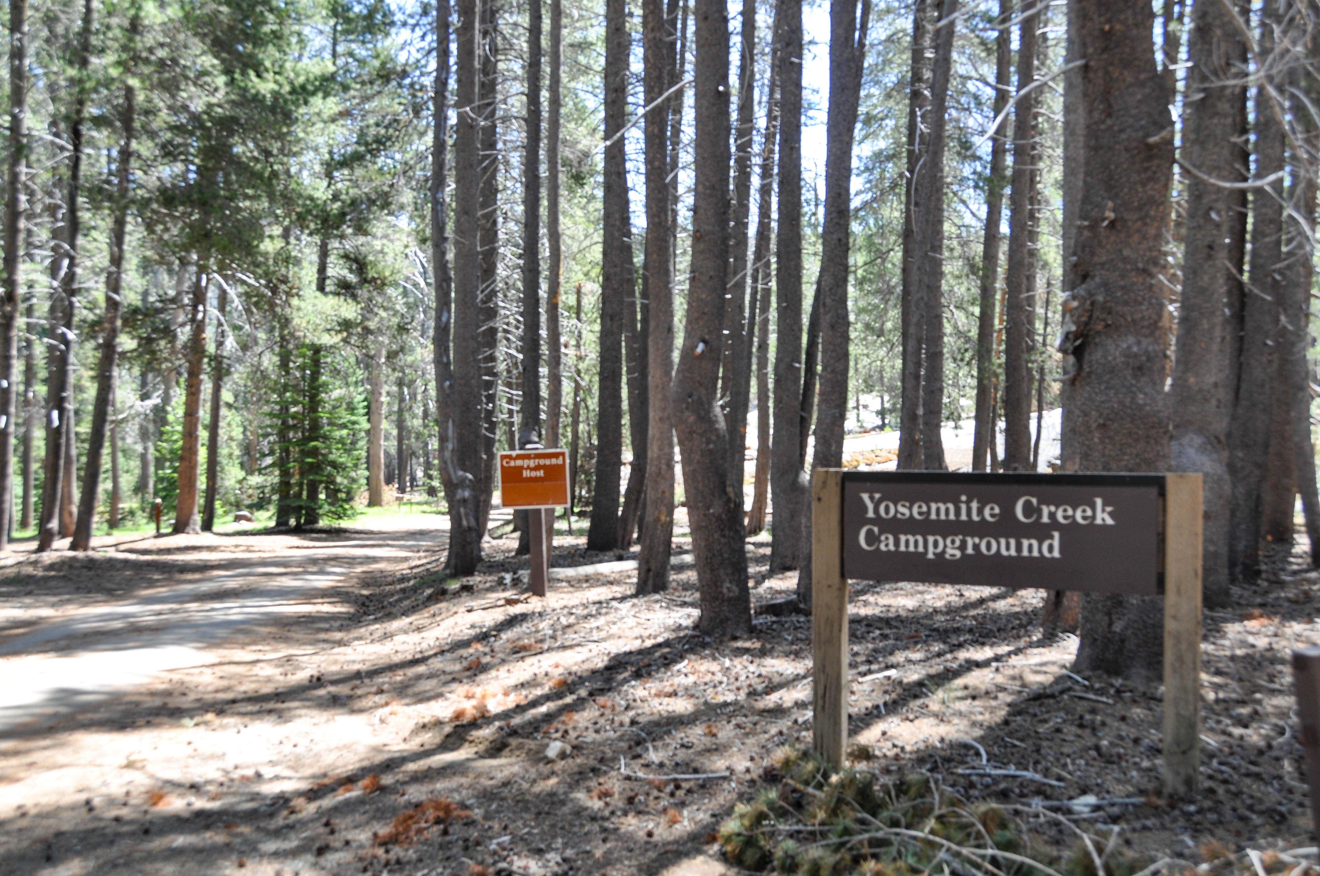 Camper submitted image from Yosemite Creek — Yosemite National Park - 4