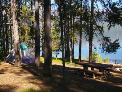 Camper submitted image from Boise National Forest Cozy Cove Campground - 1