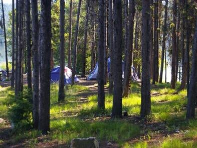 Camper submitted image from Boise National Forest Cozy Cove Campground - 4