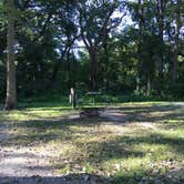 Review photo of McIntosh Woods State Park Campground by Matt S., September 12, 2016