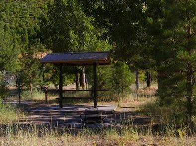 Camper submitted image from Kirkham Campground -- Temporarily CLOSED (Day Use Only) - 5
