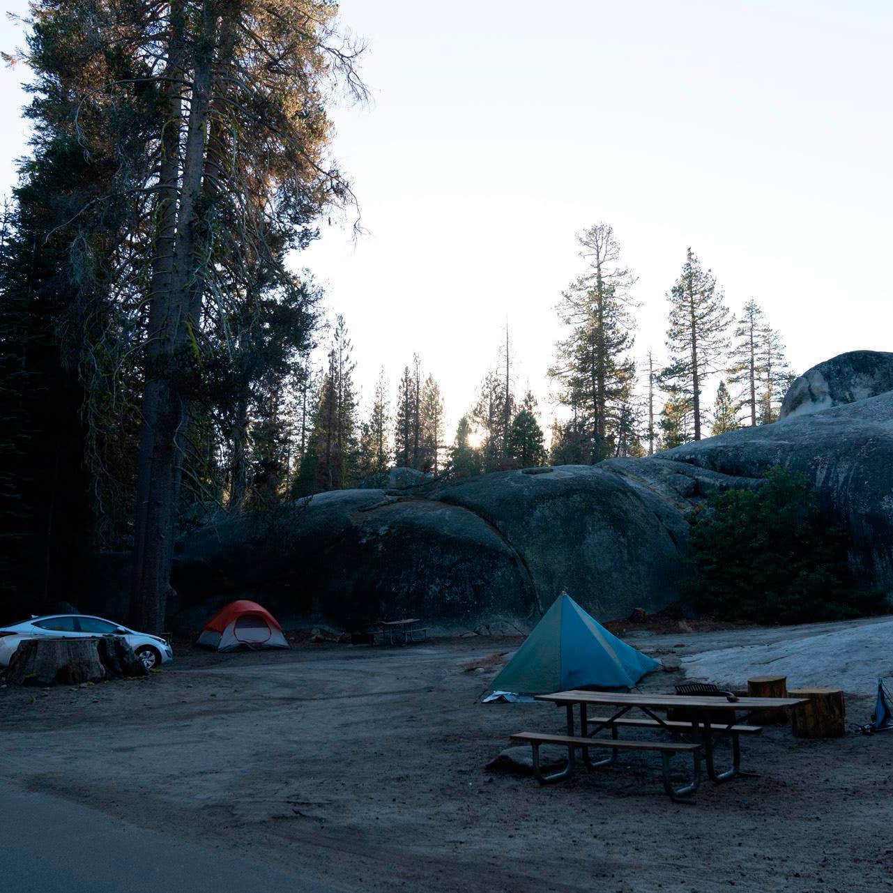 Tamarack Flat Campground — Yosemite National Park