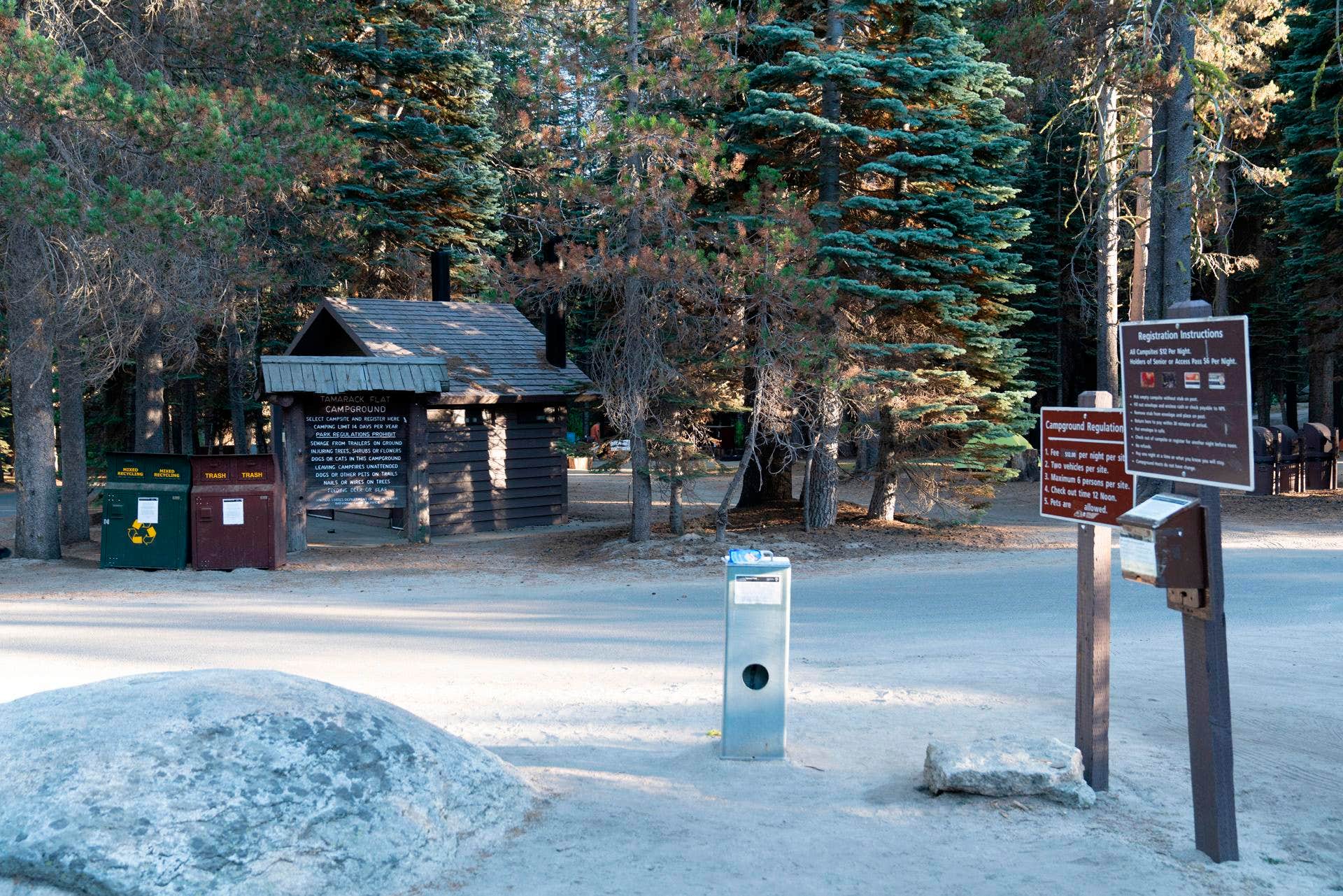 Camper submitted image from Tamarack Flat Campground — Yosemite National Park - 2