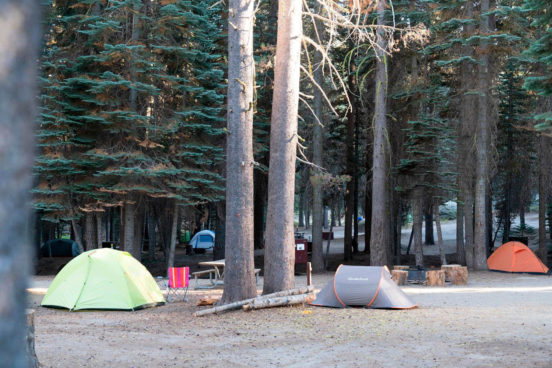 The Dyrt's photo at Tamarack Flat Campground — Yosemite National Park near Yosemite National Park