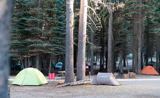 The Dyrt's photo at Tamarack Flat Campground — Yosemite National Park near Yosemite National Park