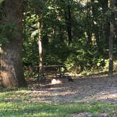 Review photo of McIntosh Woods State Park Campground by Matt S., September 12, 2016