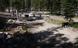 Camper-submitted photo from Meadow Lake Campground