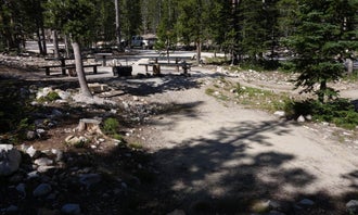 Camping near Summit Creek: Meadow Lake Campground, Leadore, Idaho