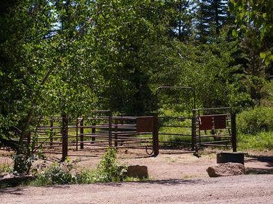 Camper submitted image from Porcupine Springs - 3