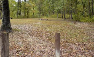 Camping near Gunner Pool Recreation Area: Barkshed Recreation Area, Fifty-Six, Arkansas