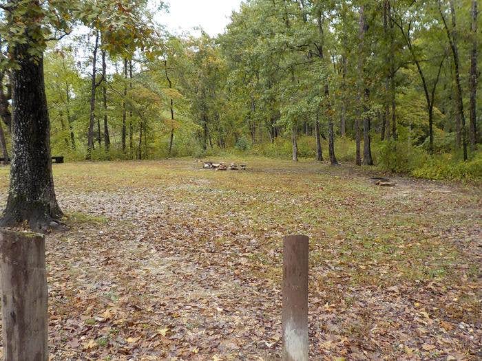 Barkshed Recreation Area Camping FiftySix, AR