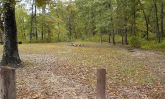 Camping near Anglers Holiday Mountain Resort: Barkshed Recreation Area, Fifty-Six, Arkansas