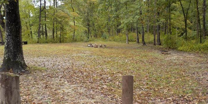 Camper submitted image from Barkshed Recreation Area