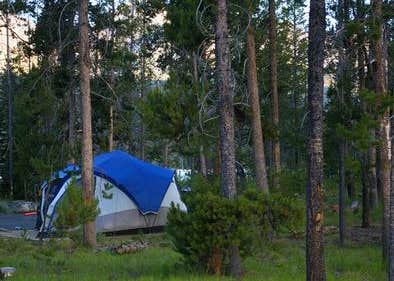 zuur Intens val Outlet Campground at Redfish Lake Camping | The Dyrt