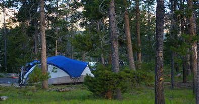 Rechtsaf Verandering eer Outlet Campground at Redfish Lake Camping | The Dyrt
