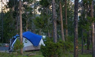 Camping near Glacier View Campground: Outlet Campground at Redfish Lake, Stanley, Idaho