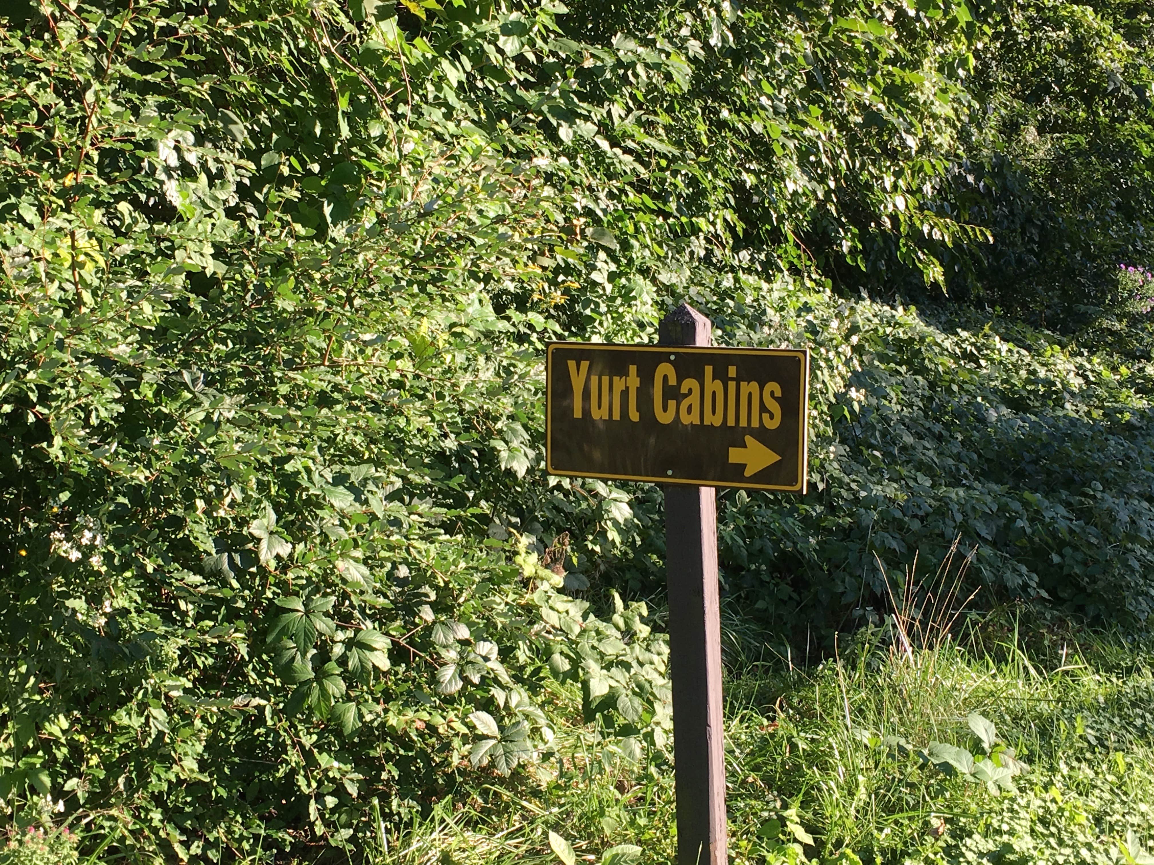 Camper submitted image from McIntosh Woods State Park Campground - 2