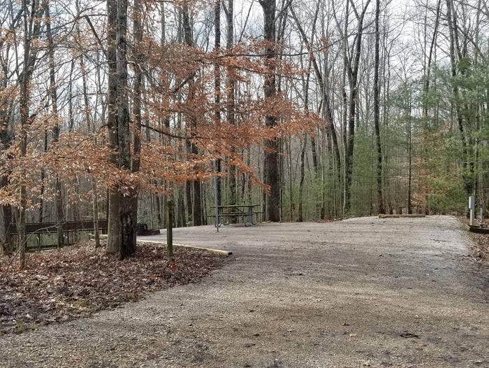 Camper submitted image from Station Camp Horse Campground — Big South Fork National River and Recreation Area - 4