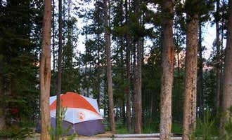 Camping near Sunny Gulch Campground: Outlet Campground at Redfish Lake, Stanley, Idaho