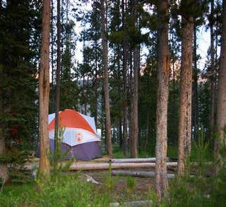 Camper-submitted photo from Outlet Campground at Redfish Lake