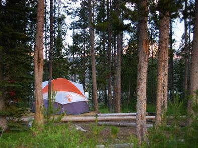 Camper submitted image from Outlet Campground at Redfish Lake - 1