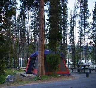 Camper-submitted photo from Outlet Campground at Redfish Lake