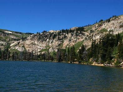 Camper submitted image from Lake Cleveland - East Side - 3