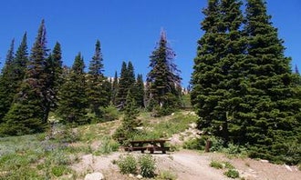 Camping near Thompson Flat Campground: Lake Cleveland - East Side, Albion, Idaho