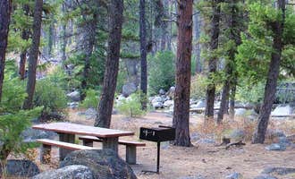 Camping near Lick Creek Area, McCall & Krassel Ranger Districts: Ponderosa Campground, Warren, Idaho