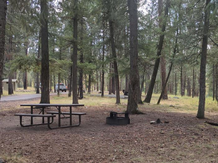 Camper submitted image from Camp Creek Campground - 2