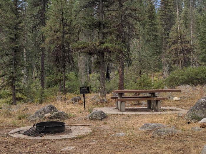 Camper submitted image from Ponderosa Campground - 2
